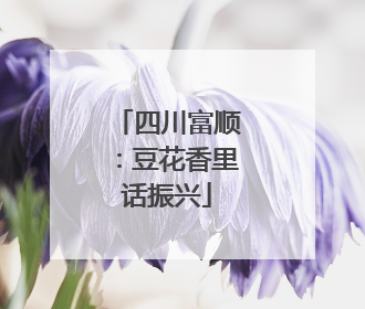 四川富顺：豆花香里话振兴